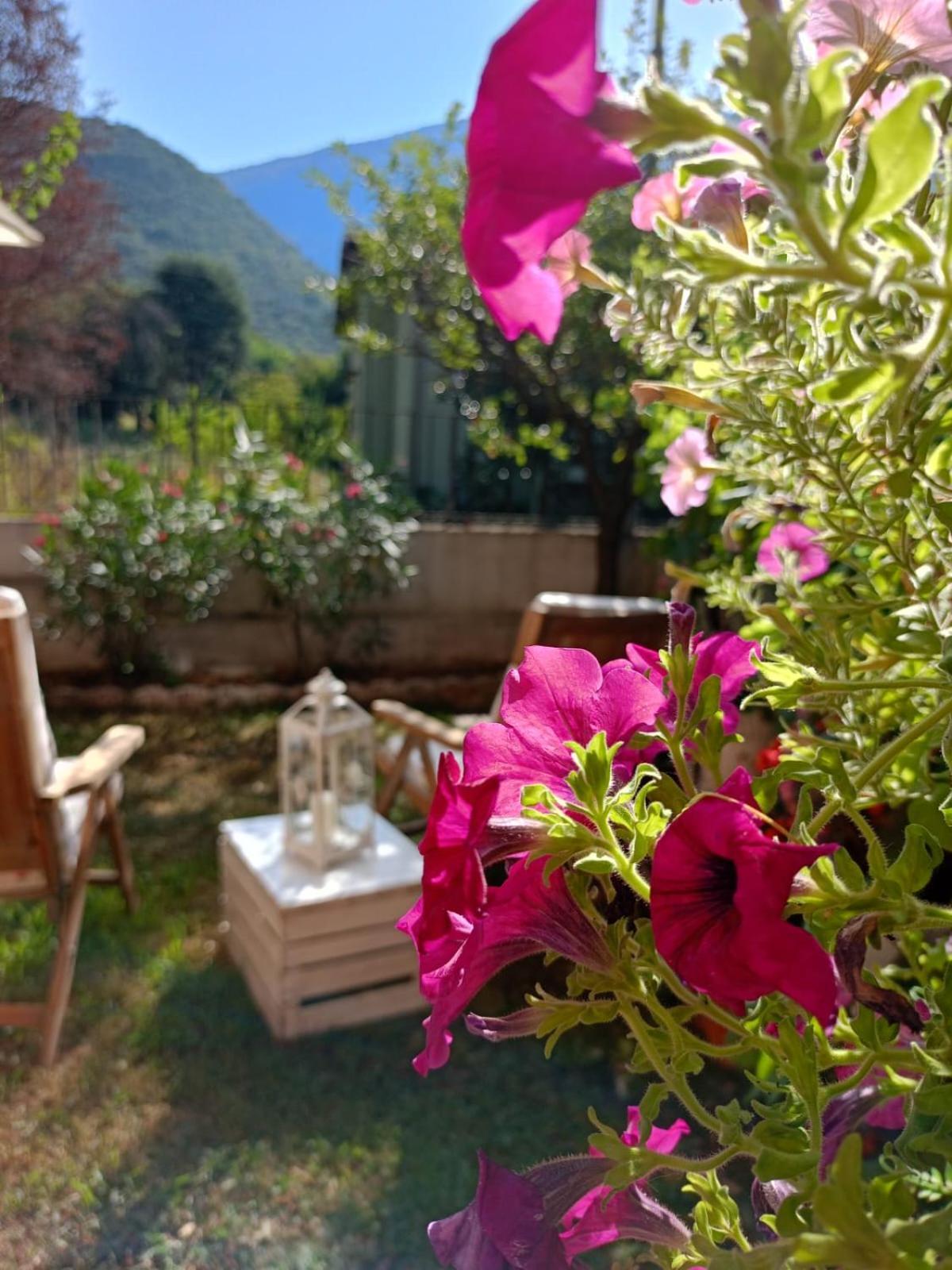 La Civetta Appartamento Con Giardino E Parcheggio Nave  외부 사진